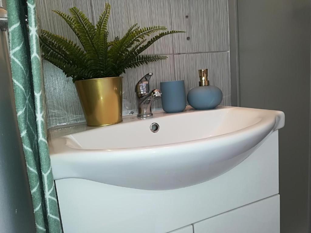 Guesthouse Smart Bucureşti Eksteriør bilde